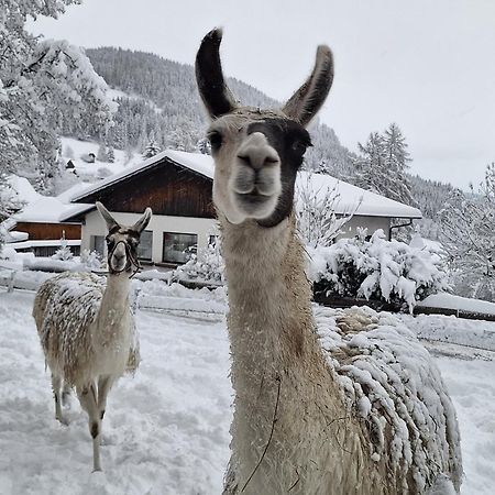 Gasthof Kirchmoar Sankt Blasen Esterno foto